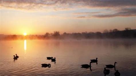 Bird-watching at Langford Lakes | VisitEngland