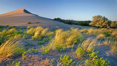 Golden Hour Bruneau Sand Dunes | Flickr - Photo Sharing!