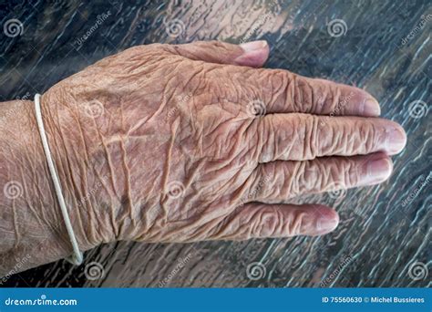 Elderly old lady hand stock photo. Image of lady, persons - 75560630