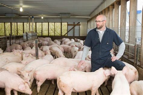 National Pork, Farm Bureau file legal challenge to California’s ...