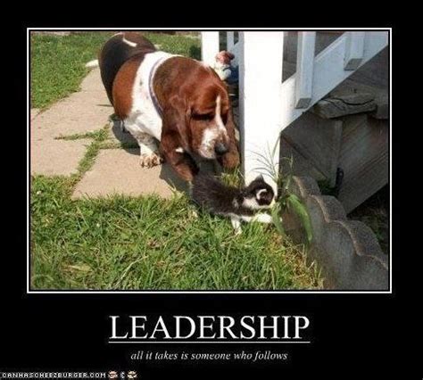 Funny Leadership Quote - leadership quotes | Leadership quotes, Leadership, Dog rules