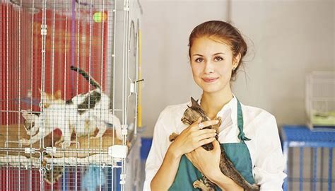 Volunteering At An Animal Shelter: The Way to Give Back