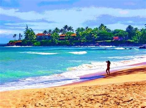 Paia Bay, Maui | Hawaii travel, Paia maui, Places to go