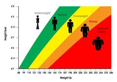 The Link Between BMI & Longevity… | 40fit