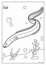 Electric Eel Coloring Pages For Kids 2025 sketch template