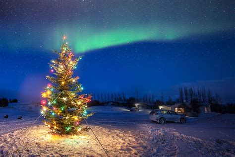 Photo Iceland christmas Christmas tree - free pictures on Fonwall