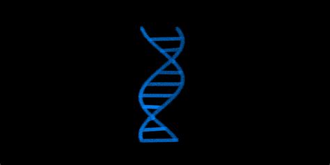 GitHub - dilums/dna-structure-animation-3d