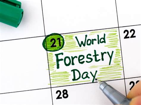 World Forestry Day or International Day of Forests 2023: Date, Theme, History, Significance, and ...