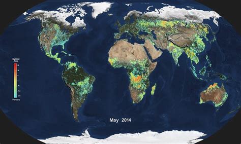 NASA reveals incredible fire map of the world | Daily Mail Online