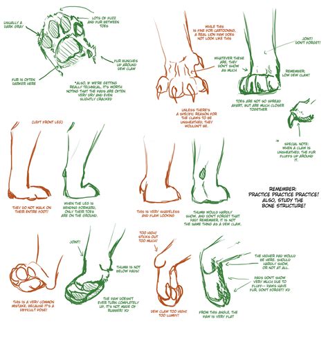 Big Cat Paw Tutorial 2 by TamberElla on DeviantArt