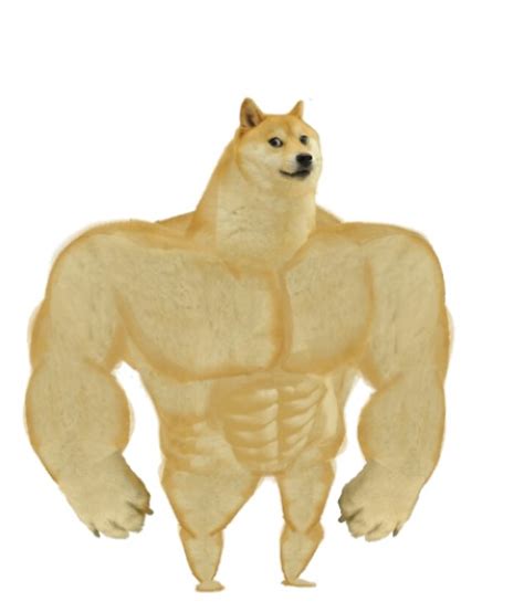 Buff doge Blank Template - Imgflip