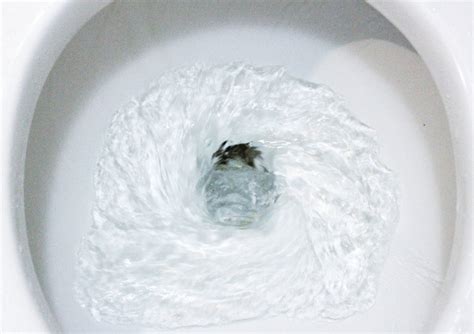 The 4 Types Of Toilet Flushing Systems - JPG Plumbing