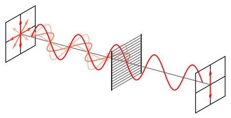 Polarization – holocenter