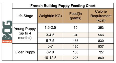 French Bulldog Feeding Guide UK – How Much to Feed? - WeWantDogs