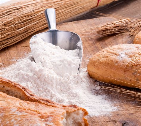 Bread flour: nutrition data, where found and 699 recipes