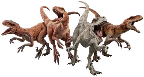 Jurassic world dominion atrociraptor renders png by Junior3DSYMas on ...