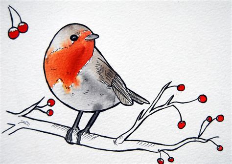 robin bird by Moy-a on DeviantArt