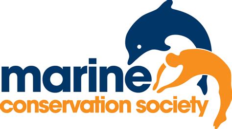 Ocean Blogspot: Marine Conservation Society – the UK charity protecting our seas, shores and ...