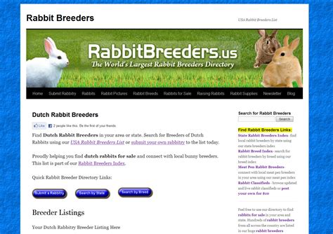 Dutch Rabbit Breeders - Dutch Rabbits for Sale (Near Me)