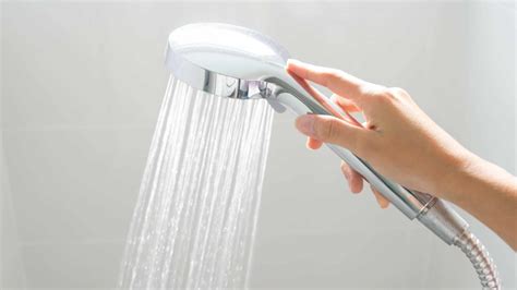 Quick DIY Tips On How To Fix A Leaky Shower Head: Complete Guide!