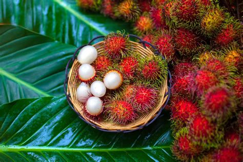 Rambutan - Nutrition, Health Benefits And Recipes - HealthifyMe