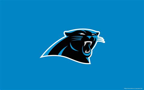 [100+] Carolina Panthers Wallpapers | Wallpapers.com