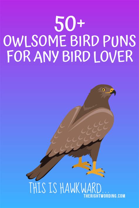 50+ Owlsome Bird Puns To Emu-se Your Friends