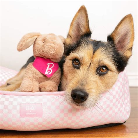 Barbie™ Dog Toy | Canada Pooch