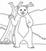 Bear Standing coloring Page  Download Print Or Color Online For Free sketch template
