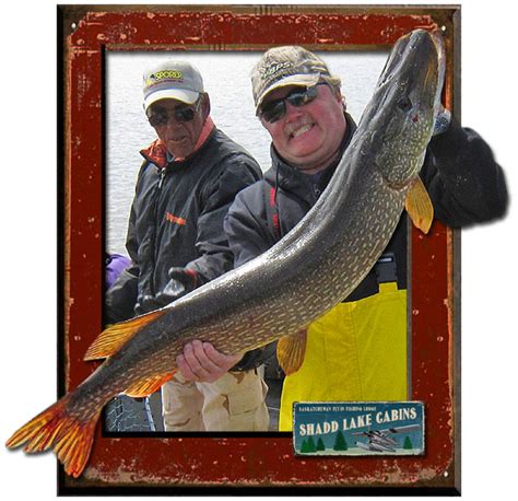 Saskatchewan Fishing Trip Packages