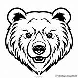 Bear Face Coloring Pages  Free & Printable sketch template