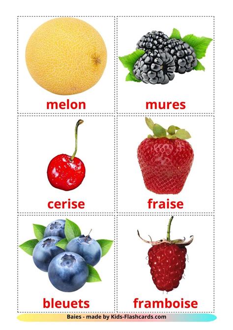 Berries - 11 Free Printable French Flashcards in 2022 | French flashcards, Flashcards for kids ...