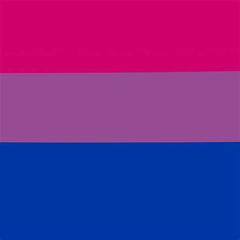 Skater Girl Room, Bi Flag, Lgbtq Flags, Flag Icon, Bisexual Pride, Flag Colors, Gender Flags ...