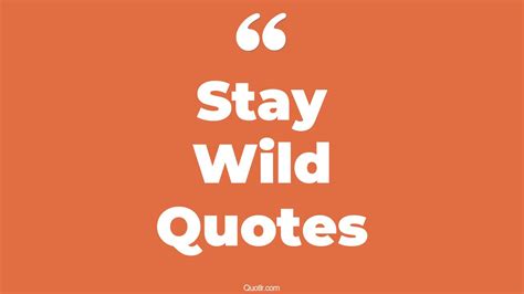 29+ Belligerent Stay Wild Quotes That Will Unlock Your True Potential