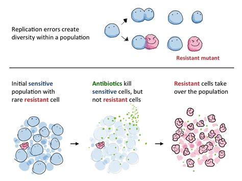 Antibiotic Resistance: Old genes, new problems | Science in the News