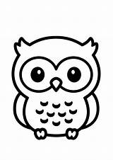 Coruja Ausmalbilder Corujinha Eule Owls Corujas Mewarnai Ausmalen  sketch template
