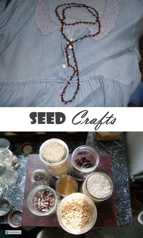 Seed Crafts - seed pods, capsules, acorns and nuts for crafts | Seed ...