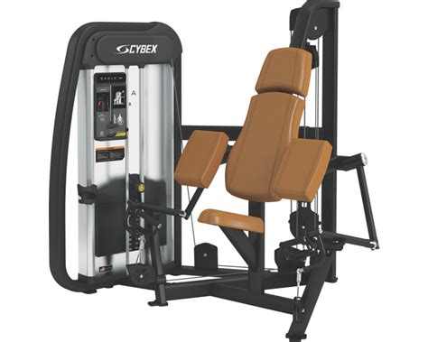 Eagle NX Arm Curl | Cybex