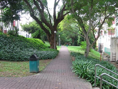 Image: Duxton Plain Park, Dec 05