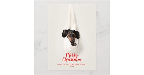 Cute Pet Family Puppy Dog Christmas Photo Holiday Card | Zazzle.com