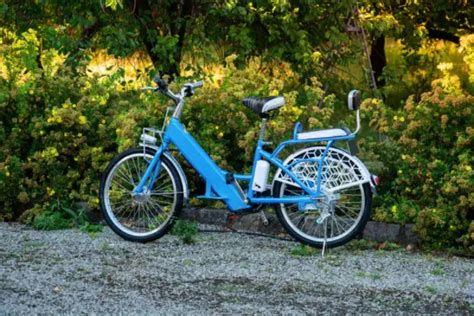 2-Seater Electric Bikes - Everything you need to know - Bike Lovy