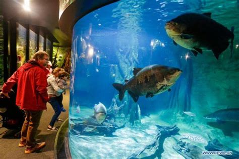 oklahoma aquarium tulsa : Latest news, Breaking news headlines | Scoopnest