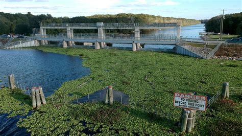 Rodman Reservoir and Rodman Dam - The Great Florida Riverway