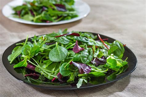 Not Sure About Your Leafy Greens? 5 Popular Varieties and How to Use Them