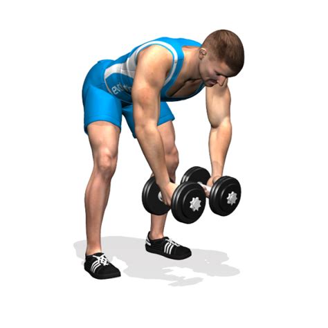 Bent-Over Dumbbell Reverse Fly – Back to Workout