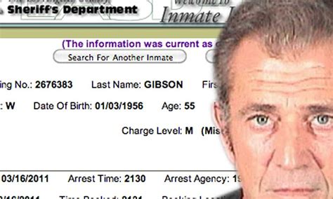 Mel Gibson's new mug shot released as he is booked for battery charges ...