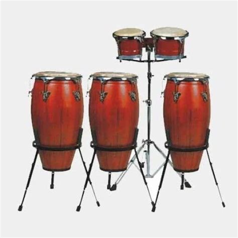 Drum Brown Congo Bongo at Rs 1800/piece in Ujjain | ID: 2852487419848