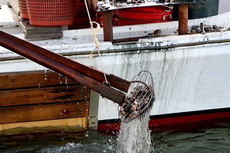 DFA Requests Extension of Oyster Season – Delmarva Fisheries ...