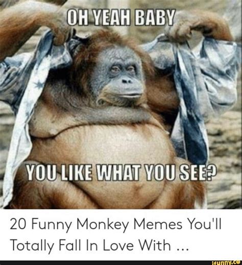 20 Funny Monkey Memes You'll Totally Fall In Love With - iFunny