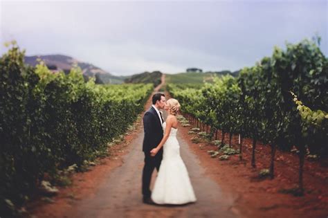 Vineyard wedding | Vineyard wedding, Wedding, Wedding photos